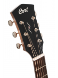 Essence-GA4 (Black Top Semi Gloss), зображення 5
